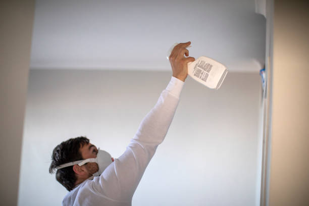 Best Home Mold Removal  in Youngsville, LA