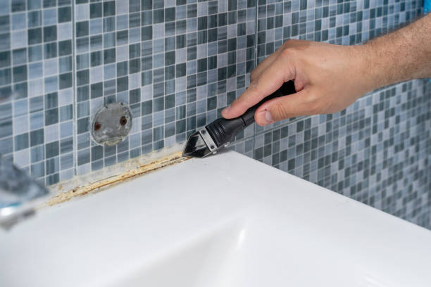 Home Mold Removal in Youngsville, LA
